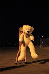 IMG 3492