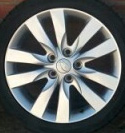 Cerato